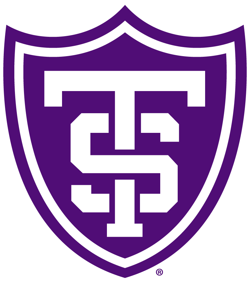 St. Thomas Tommies 2009-Pres Primary Logo diy DTF decal sticker